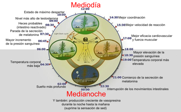 Descifrando el código del sueño: CBD, alimentación y ritmos circadianos